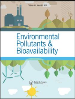 Microplastic pollution in groundwater: a systematic&nbsp;review
